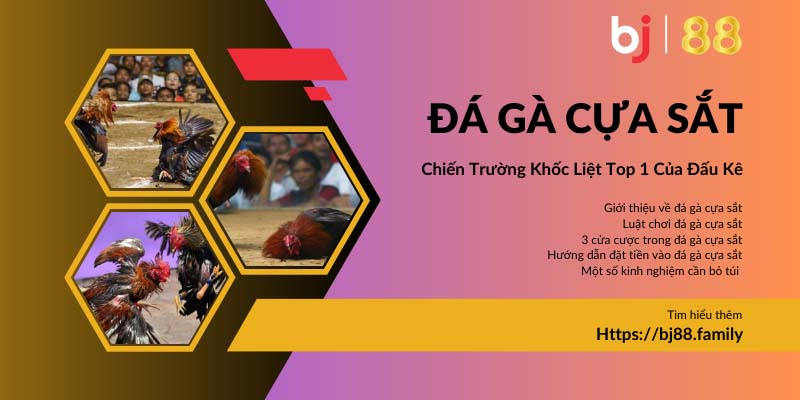 Ảnh đại diện đá gà cựa sắt