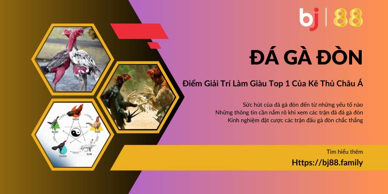 Ảnh đại diện đá gà đòn