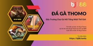 Ảnh đại diện đá gà Thomo