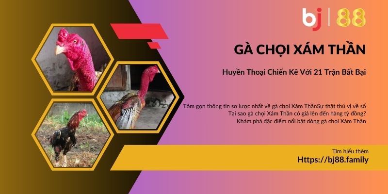 Ảnh đại diện Gà Chọi Xám Thần