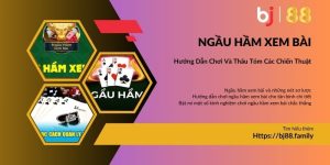 Chia sẻ về trò chơi ngầu hầm xem bài