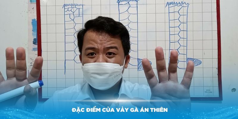 Tìm hiểu về đặc điểm của vảy gà Án Thiên